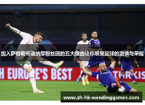 加入萨格勒布迪纳摩粉丝团的五大理由让你感受足球的激情与荣耀