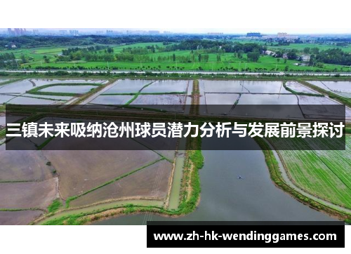 三镇未来吸纳沧州球员潜力分析与发展前景探讨