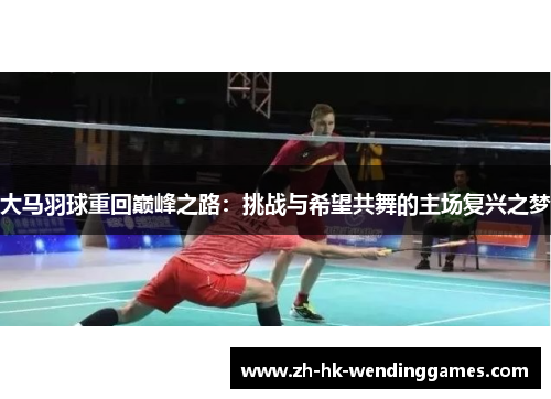 大马羽球重回巅峰之路：挑战与希望共舞的主场复兴之梦