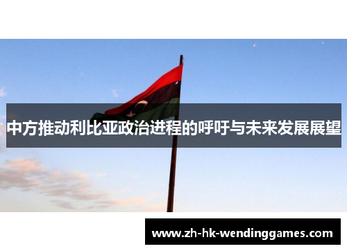 中方推动利比亚政治进程的呼吁与未来发展展望
