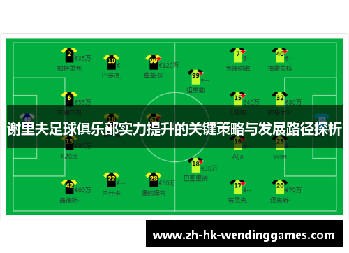 谢里夫足球俱乐部实力提升的关键策略与发展路径探析 谢里夫足球俱乐部实力提升的关键策略与发展路径探析