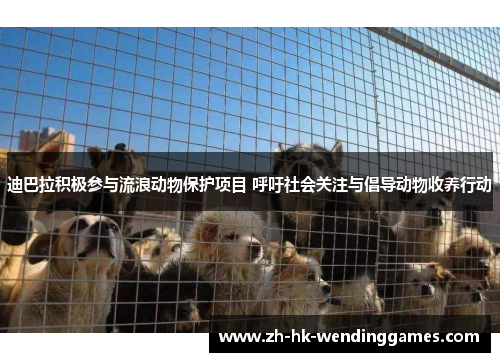 迪巴拉积极参与流浪动物保护项目 呼吁社会关注与倡导动物收养行动 迪巴拉积极参与流浪动物保护项目 呼吁社会关注与倡导动物收养行动