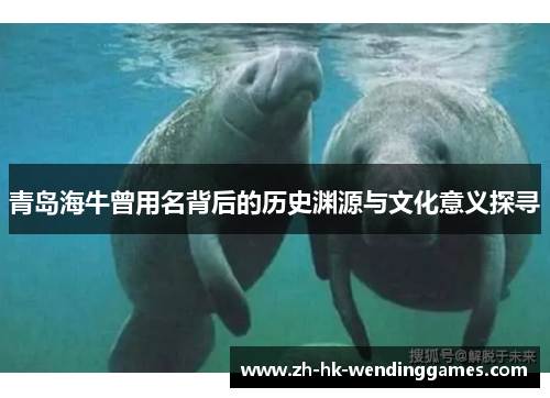 青岛海牛曾用名背后的历史渊源与文化意义探寻 青岛海牛曾用名背后的历史渊源与文化意义探寻