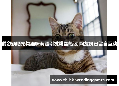 戴资颖晒宠物猫咪萌照引发粉丝热议 网友纷纷留言互动