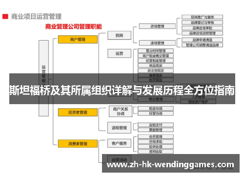 斯坦福桥及其所属组织详解与发展历程全方位指南