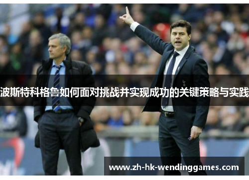 波斯特科格鲁如何面对挑战并实现成功的关键策略与实践