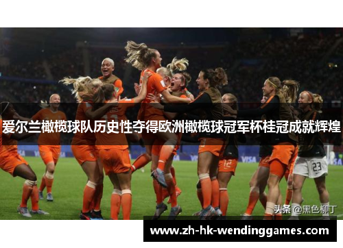 爱尔兰橄榄球队历史性夺得欧洲橄榄球冠军杯桂冠成就辉煌